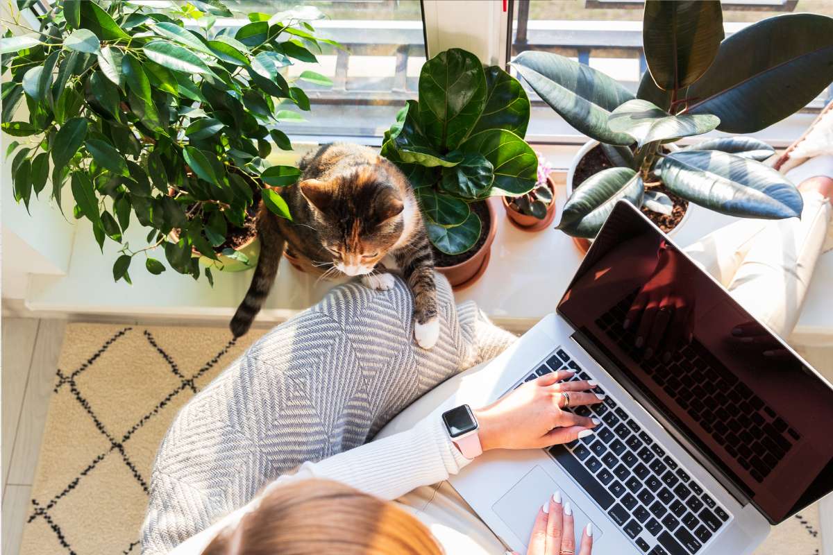 Faut-il privilégier un CDI ou un contrat freelance 